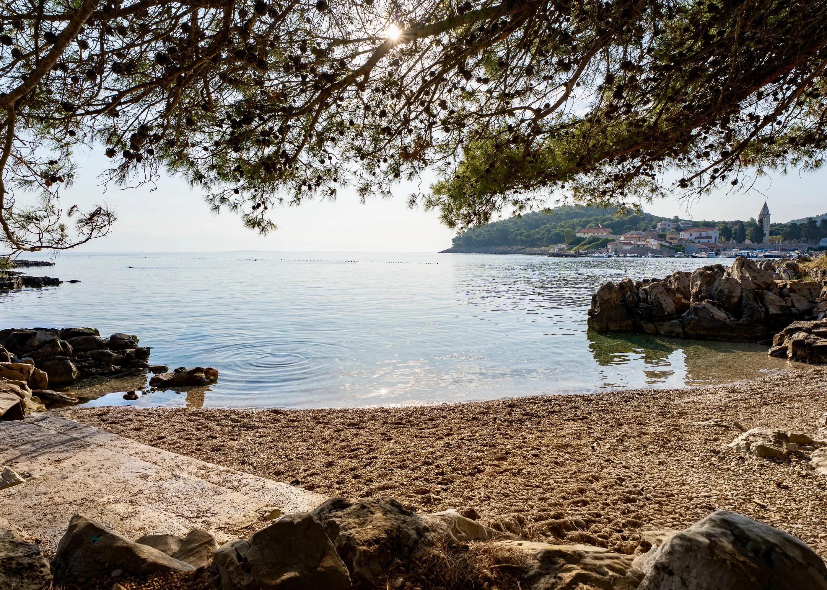 The pebble cove, framed by pine branches