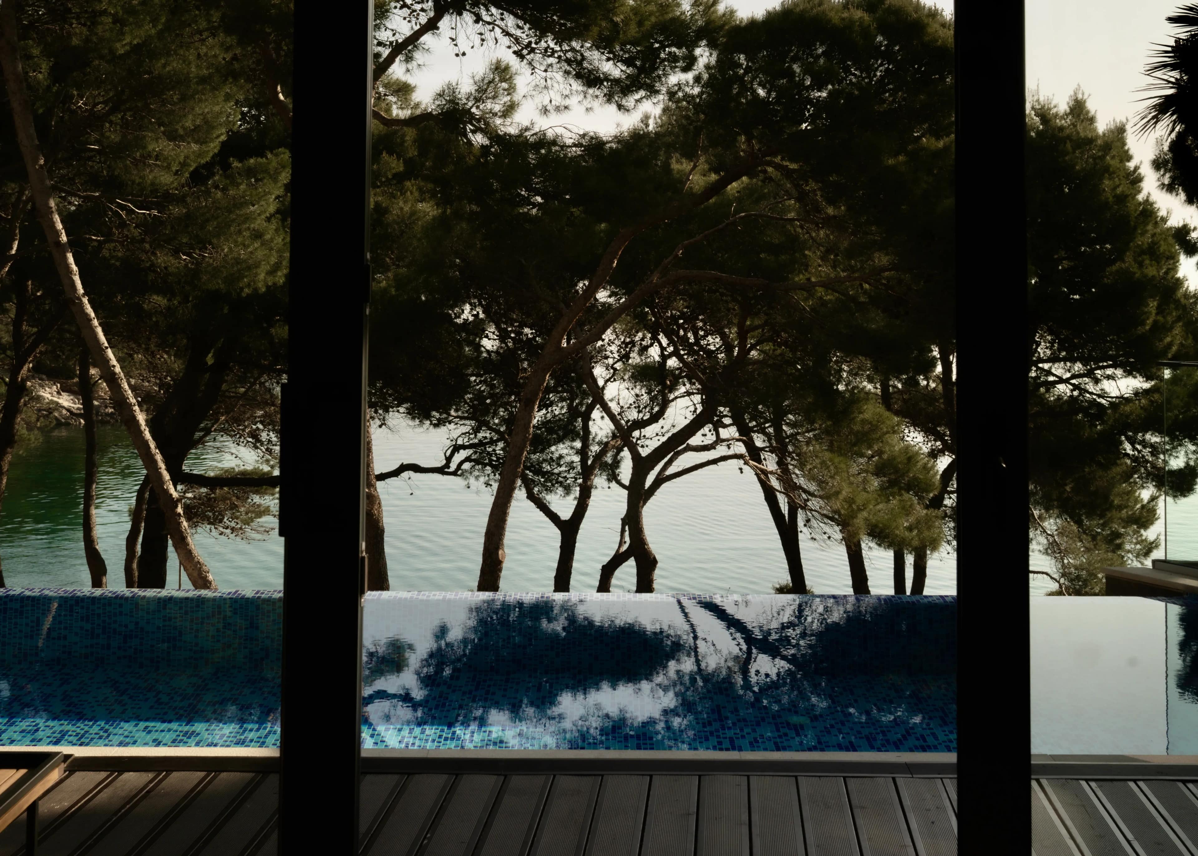 The pool, seen through the pines